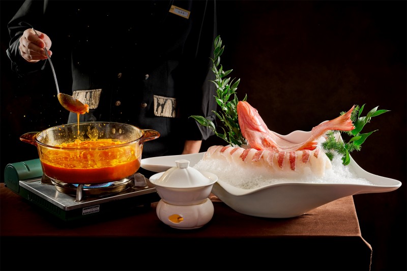 Leopard Coral Grouper