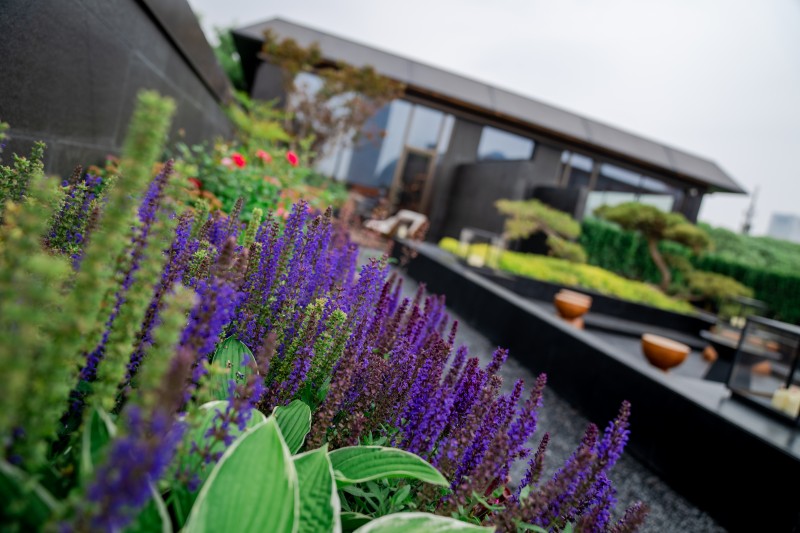 XIU ER FU Neo Gentry Cuisine